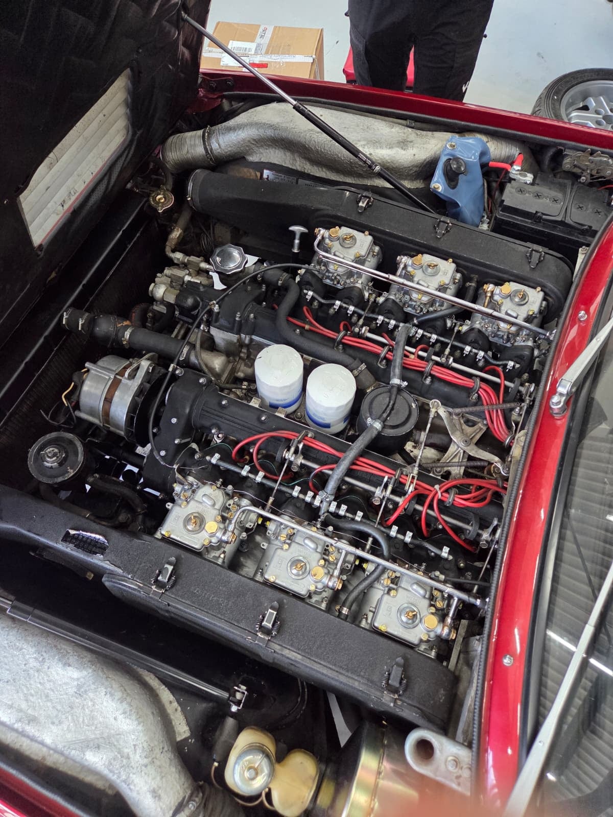 De V12-motorruimte van de Ferrari met de zes Weber DCOE carburateurs