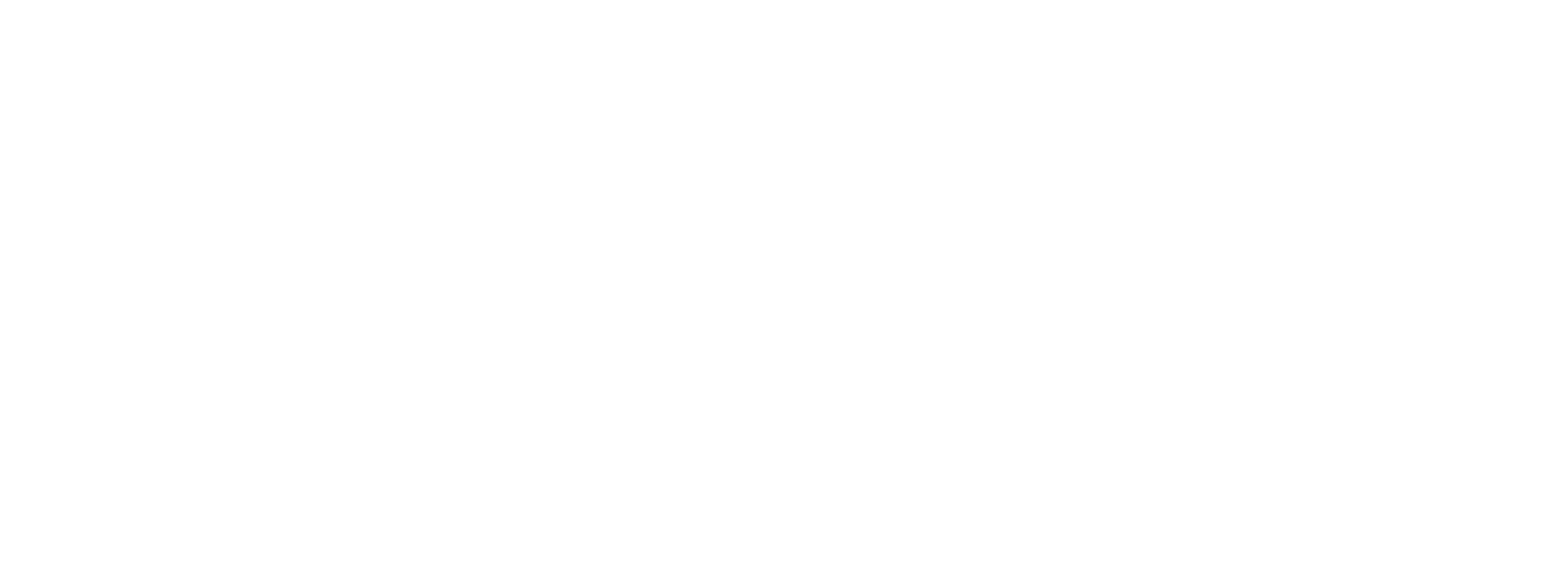 Carburateur Service Nederland